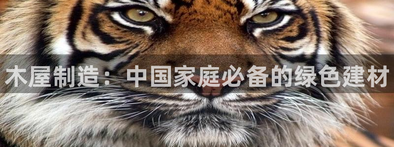 彩神v彩搜狗:木屋制造:中国家庭必备的绿色建材 彩神v彩搜狗:木屋制造:中国家庭必备的绿色建材